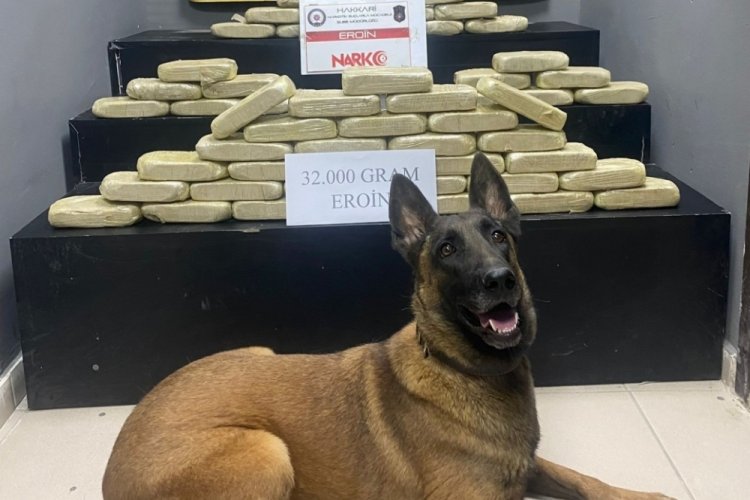 Polis ekipleri Hakkari'de 31 kilo uyuşturucu ele ge&ccedil;irdi