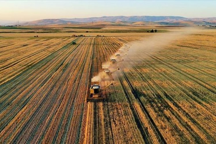 Tarımsal girdi enflasyonunda yeni rekor