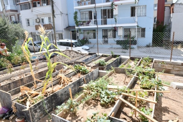 İzmir'de dar gelirli aileler i&ccedil;in kent bostanları kuruldu