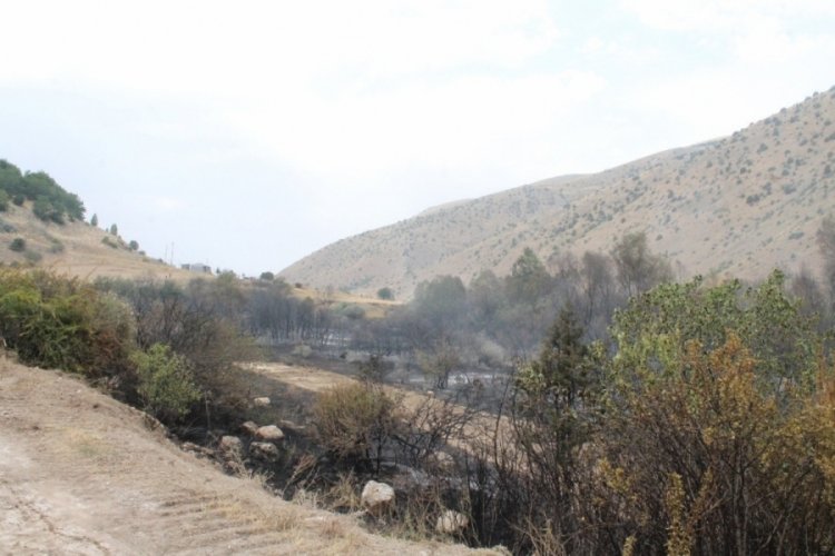 Bayburt'ta yangında 100 dekara yakın alan zarar g&ouml;rd&uuml;