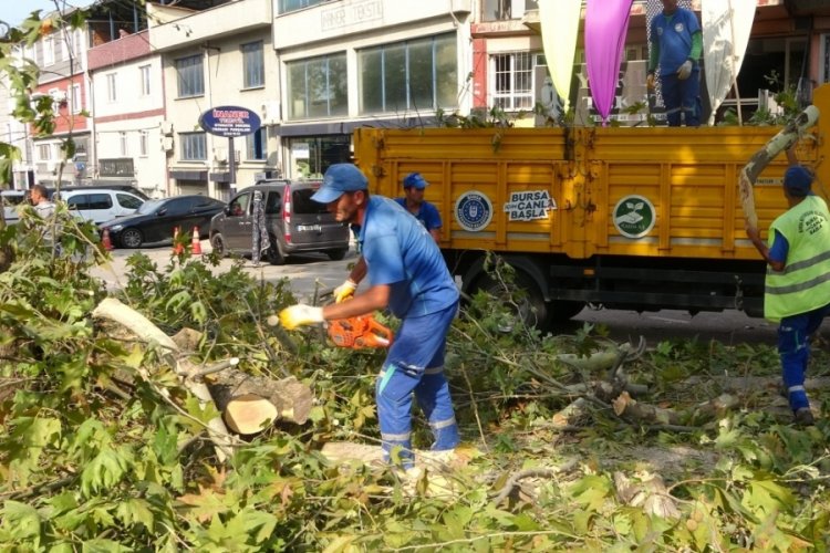 Bursa'da 70 yıllık tarihi &ccedil;ınara kamyon &ccedil;arptı: 1 yaralı