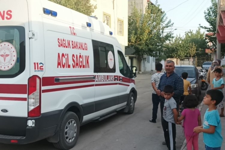 Kediye &ccedil;arpmamak i&ccedil;in otomobile &ccedil;arptı