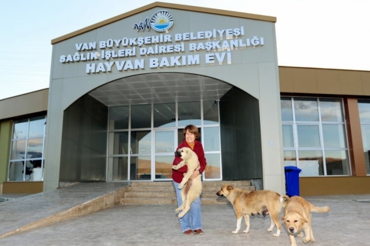 Vanpati ile sokak hayvanları sahiplenme d&ouml;nemi başladı