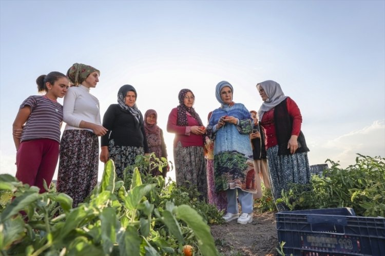 Emine Erdoğan, &ccedil;ift&ccedil;i kadınlarla birlikte tarladan domates topladı