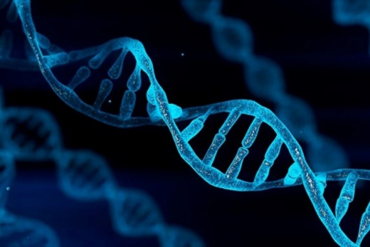 Y&uuml;zleri benzeyen kişilerin DNA'larında ortaklık var