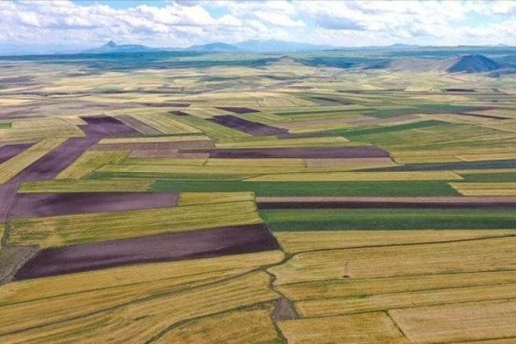 Talep artınca fiyatlar u&ccedil;tu