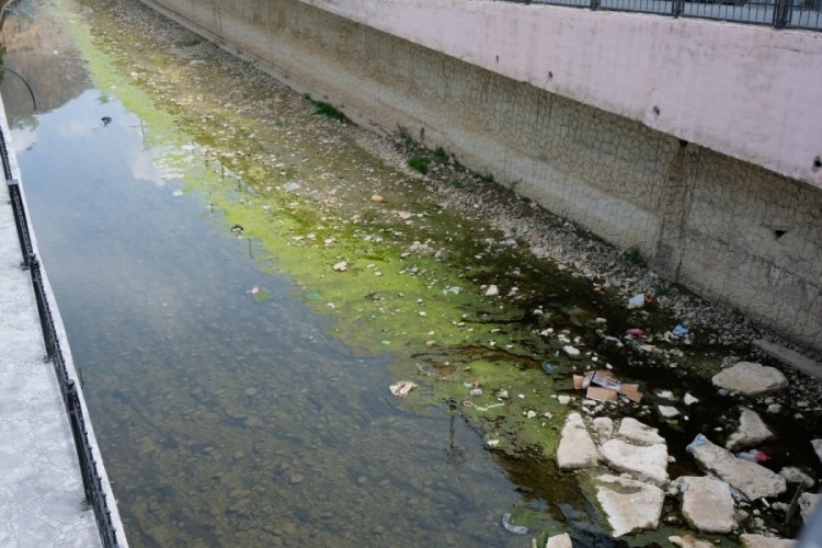 G&uuml;m&uuml;şhane'de suları &ccedil;ekilen Harşit &Ccedil;ayı &ccedil;&ouml;pl&uuml;ğe d&ouml;nd&uuml;