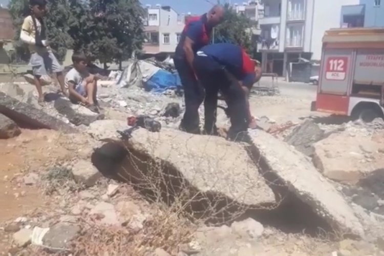 Adıyaman'da molozların arasına k&ouml;pek sıkıştı