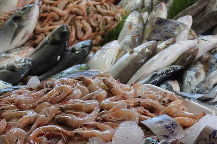 Balık &uuml;r&uuml;nlerine vergi muafiyeti geldi
