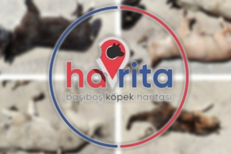 Havrita i&ccedil;in ikinci kez erişim engeli