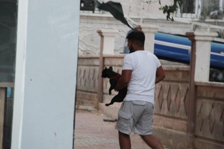 Antalya'da intihardan k&ouml;pekleri vazge&ccedil;irdi