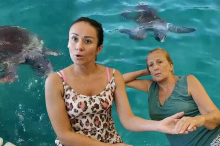 Antalya'da Rus kadın denizde caretta caretta tarafından ısırıldı