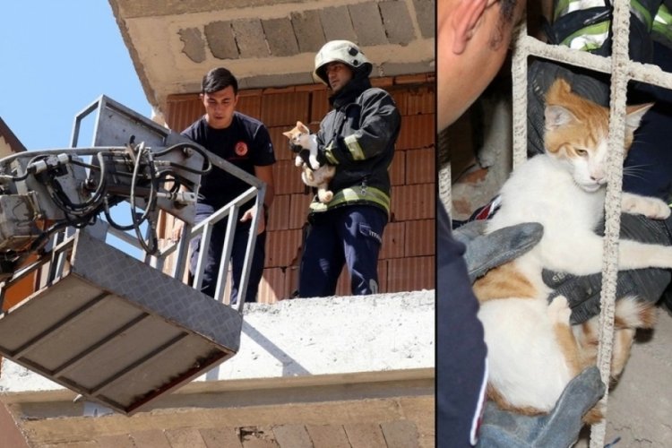 Antalya'da İnşaatta mahsur kalan kediyi itfaiye kurtardı