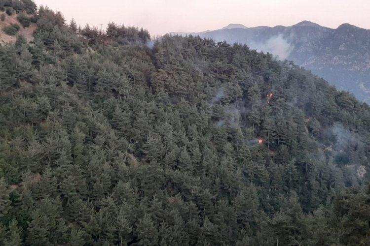 Kahramanmaraş'taki orman yangını kontrol altına alındı