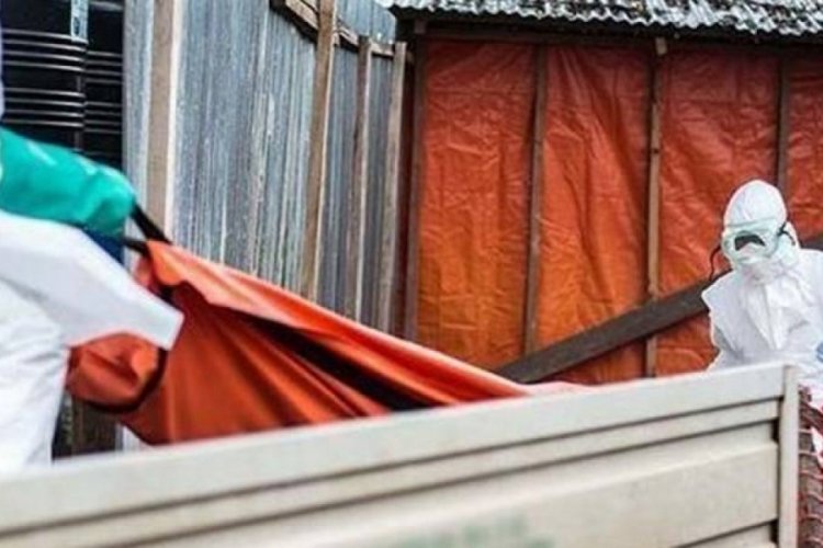 ABD'de 'maymun &ccedil;i&ccedil;eği vir&uuml;s&uuml;' bağlantılı ilk &ouml;l&uuml;m