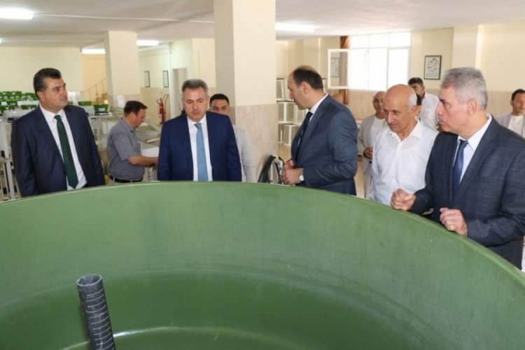 G&ouml;l ve g&ouml;letlere 10 milyon yavru balık