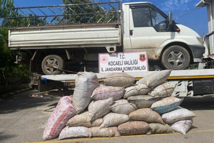 Kocaeli'de fındık hırsızları su&ccedil;&uuml;st&uuml; yakalandı