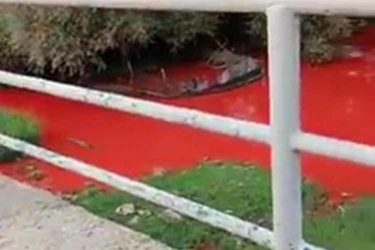 Balıkesir'de &ccedil;evre felaketi: Tarım ilacı karışan derenin rengi kırmızıya d&ouml;nd&uuml;