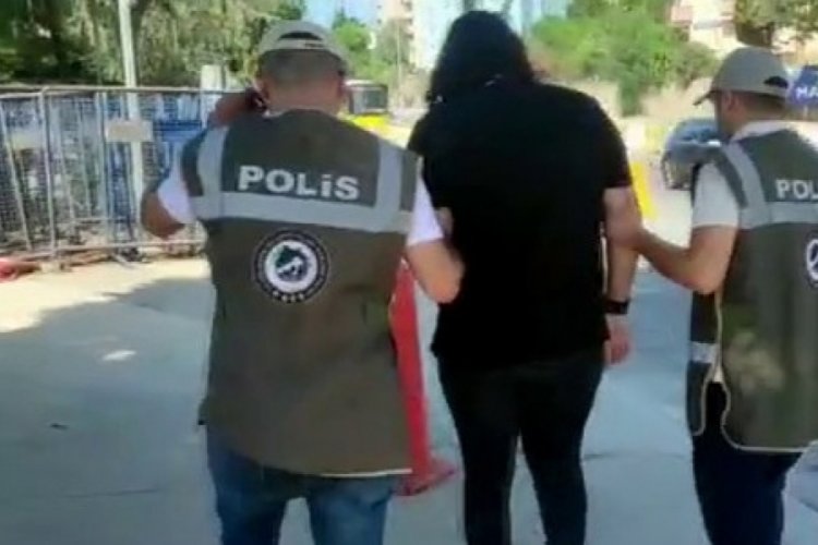 İstanbul'da beslediği kediye şiddet uygulayan şahıs yakalandı