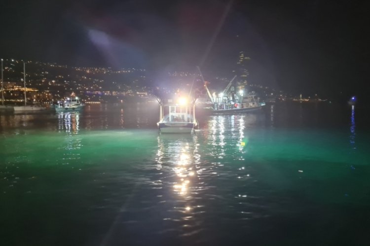 Muğla'da 25 bin &ccedil;ipura denize bırakıldı