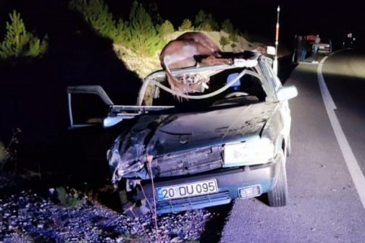 Denizli'de eşek otomobilin tavanına d&uuml;şt&uuml;