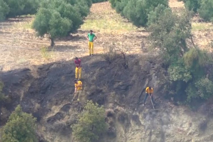 Hatay'da &ccedil;ıkan yangında 20 d&ouml;n&uuml;m alan zarar g&ouml;rd&uuml;