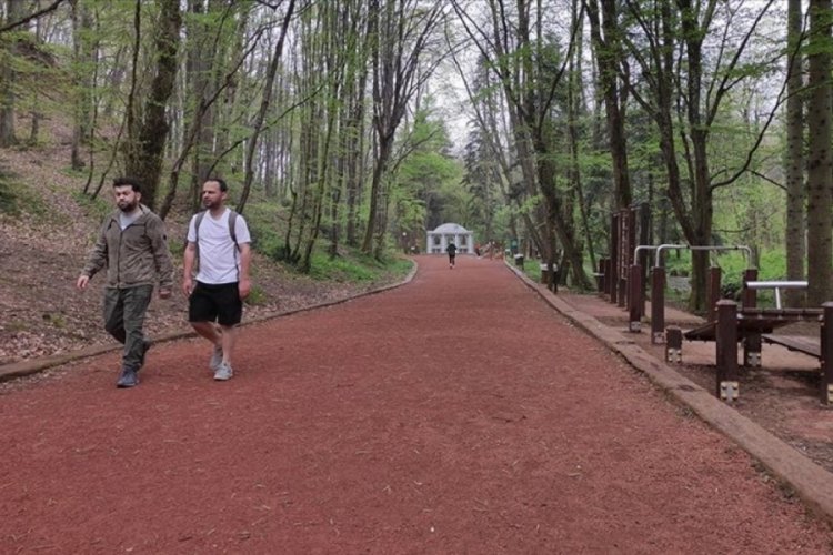 Ormanlara giriş yasağı sona erdi!