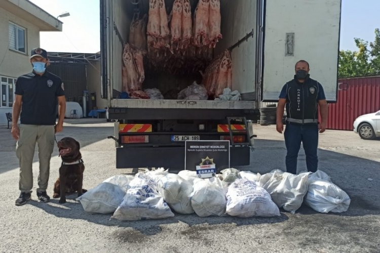 Mersin'de et yüklü kamyonda 77 kilo uyuşturucu çıktı Güncel Haberler