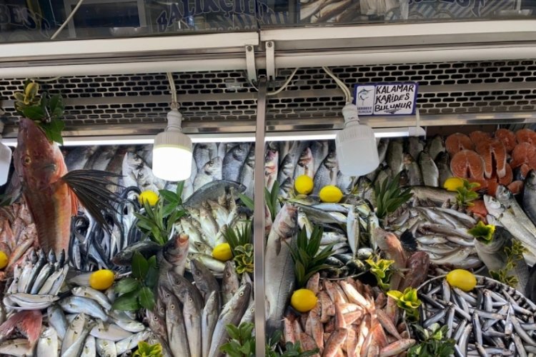 Bursa Orhangazi'de balık&ccedil;ılar 'Vira Bismillah' dedi