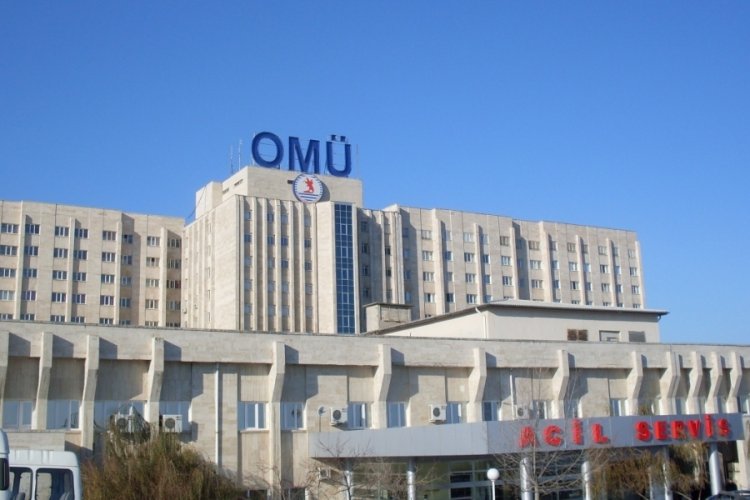 Samsun'da dereye d&uuml;şen kişi hayatını kaybetti