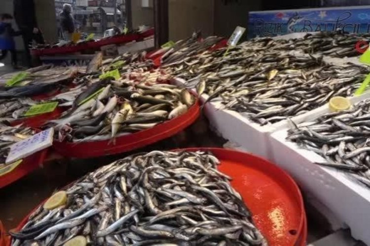 Ordu'da av sezonunun başlamasıyla tezg&acirc;hlarda balık &ccedil;eşitliliği &ccedil;oğaldı