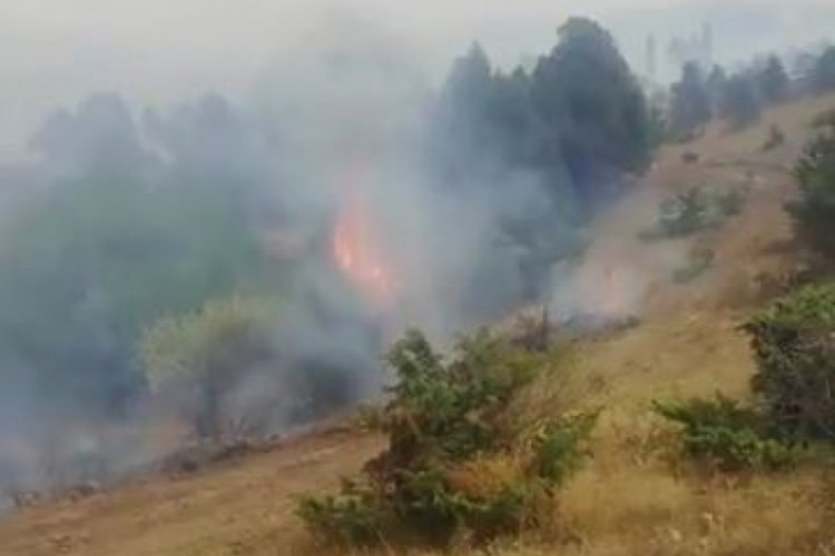 Erzincan'da orman yangını &ccedil;ıktı