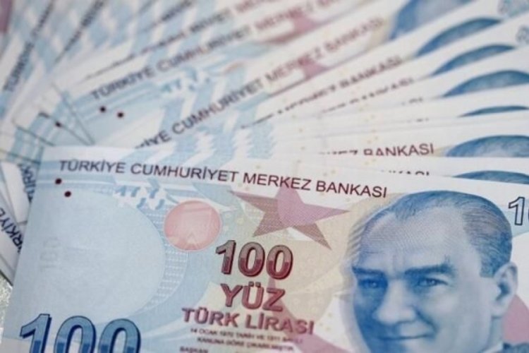 Tarımsal destek &ouml;demeleri bug&uuml;n hesaplara aktarılıyor