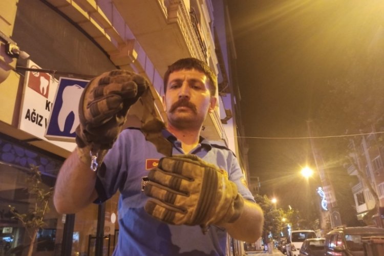 Bursa'da gece yarısı eve giren yarasa  itfaiye ekiplerini harekete ge&ccedil;irdi