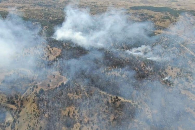 Erzincan'da &ccedil;ıkan yangında 13 hektar alan yandı