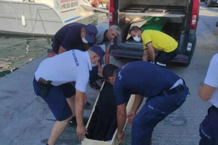 Aydın'da bir g&ouml;&ccedil;men hayatını kaybetti
