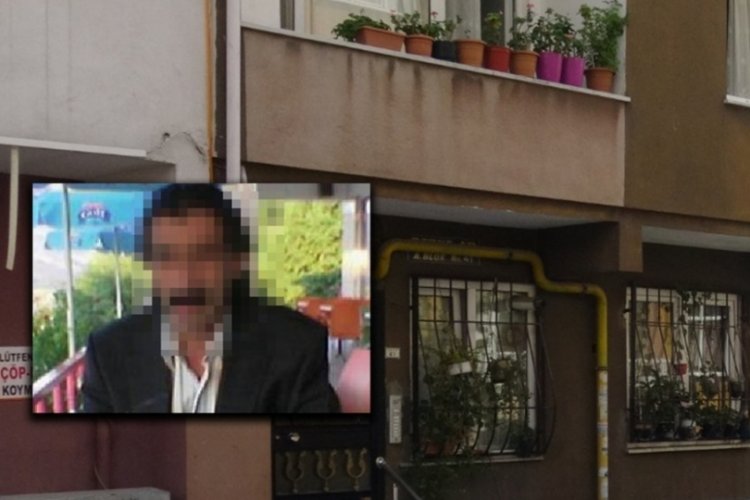 Her satırı iğren&ccedil;! 'Kedileri beslersiniz' diyerek evine &ccedil;ağırıp...