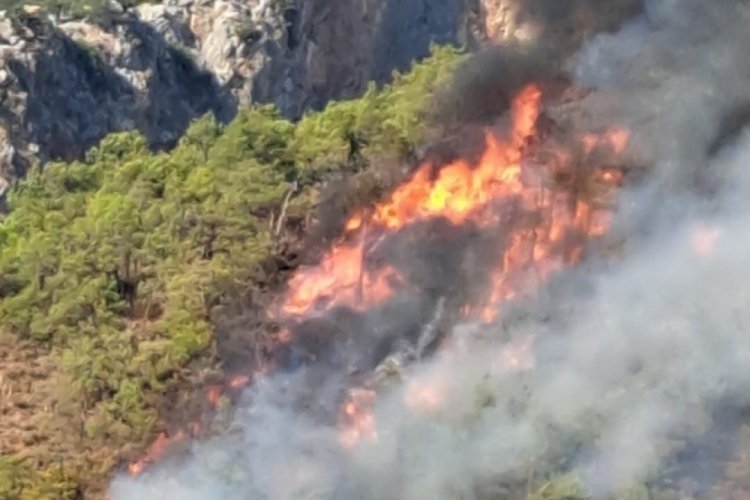 Antalya Adrasan'da orman yangını &ccedil;ıktı