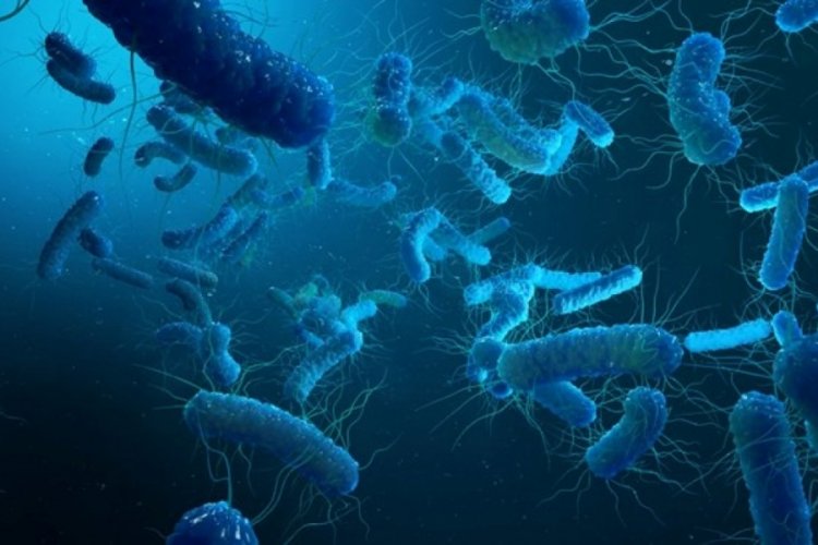Arjantin'de legionella bakterisinden 6 kişi &ouml;ld&uuml;
