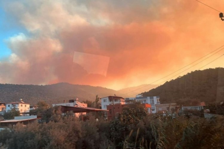 Mersin'de orman yangını &ccedil;ıktı