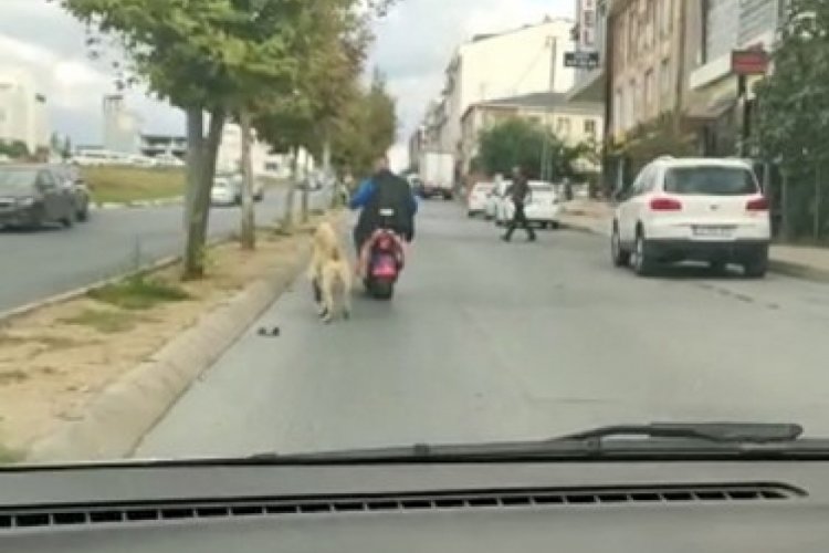 İstanbul'da bir kişi k&ouml;peği motosikletine bağlayarak g&ouml;t&uuml;rmek istedi
