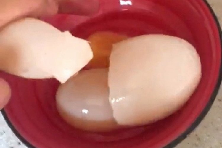 Adıyaman'da yumurta i&ccedil;inden yumurta &ccedil;ıktı