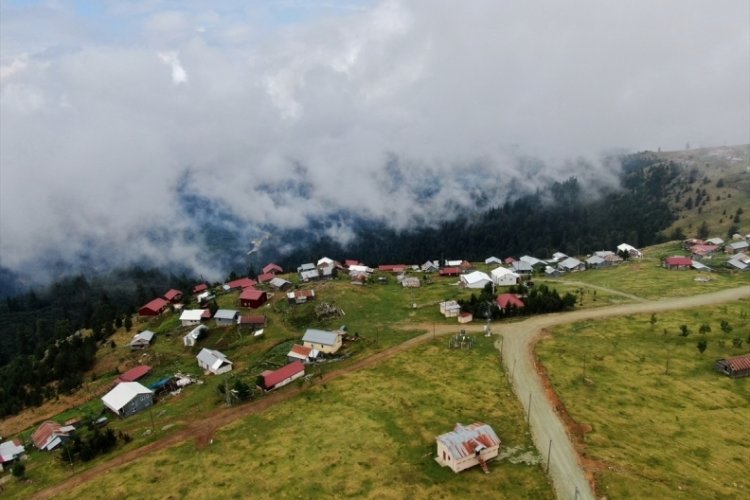 Batı Karadeniz yaylaları sis altında ziyaret&ccedil;ilerini ağırlıyor