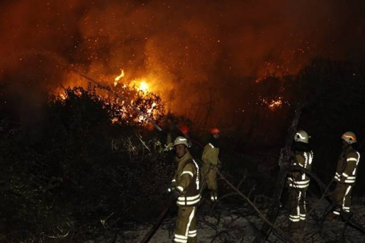 Arnavutk&ouml;y'de orman yangını