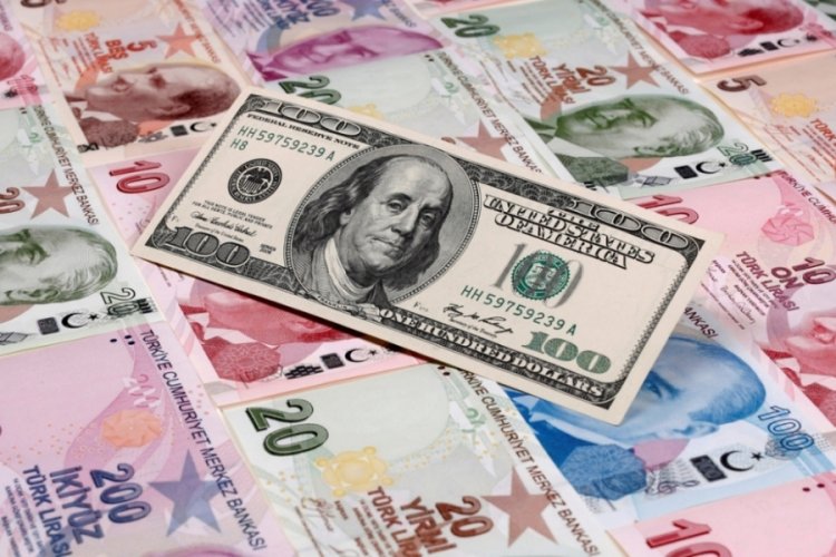Yurt i&ccedil;i yerleşiklerin d&ouml;viz mevduatı d&uuml;ş&uuml;şte