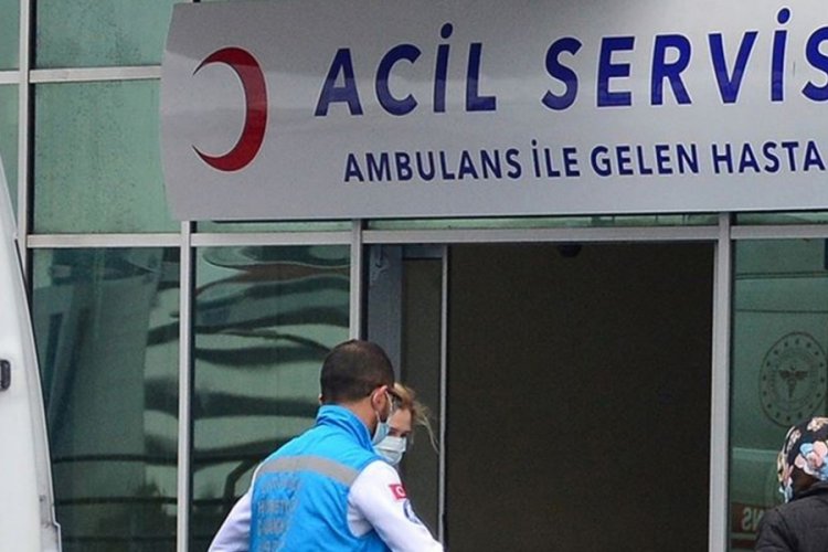 Samsun'da incir toplamak isteyen kişi canından oldu