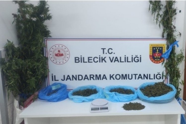 Bilecik'te uyuşturucu operasyonunda 2 g&ouml;zaltı
