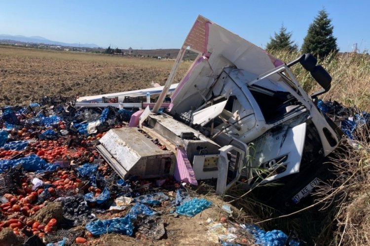 &Ccedil;anakkale'de domates y&uuml;kl&uuml; kamyon şarampole devrildi