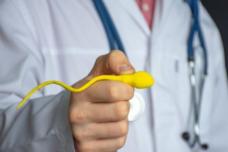 Kısırlığın sebebi bulundu mu? Kısırlık (İnfertilite) Nedir?