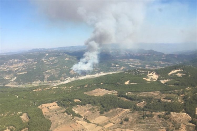 Denizli, Muğla sınırında orman yangını